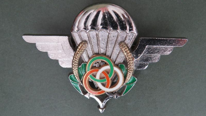 Niger Army Parachute Instructor Wings