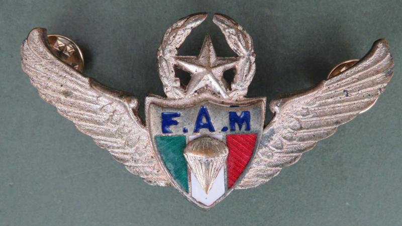 Mexico Master Parachute Wings