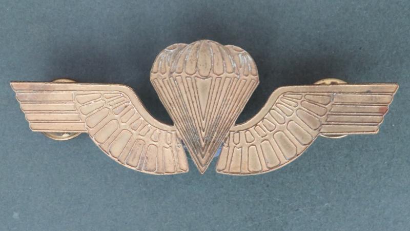 Ecuador Basic Parachute Wings
