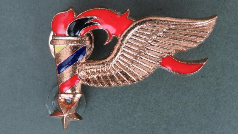 Ecuador Army Pathfinder Badge
