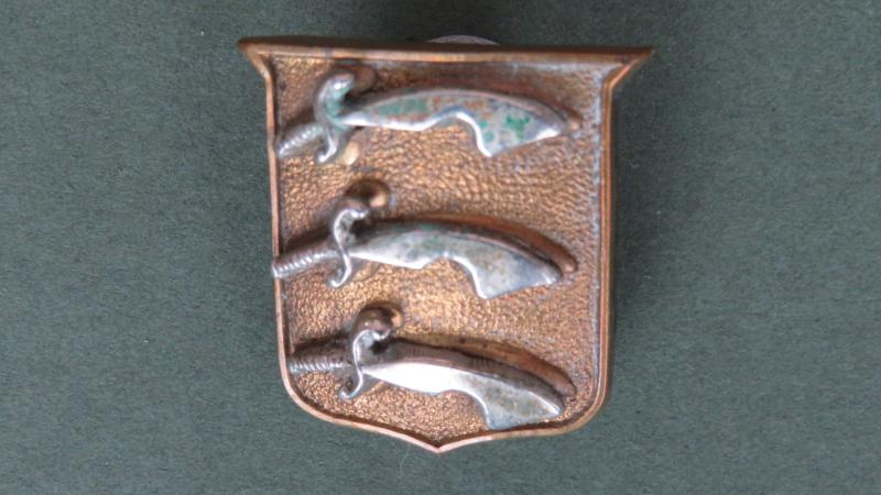 British Army The Essex Regiment SNCO's Collar Badge