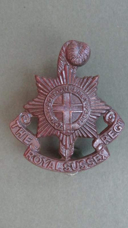 British Army The Royal Sussex Post 1903 Officers Service Dress Collar Badge