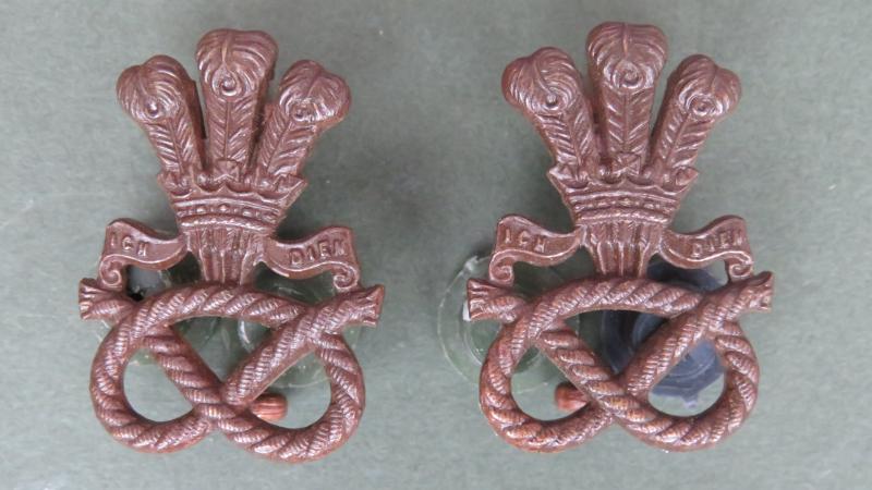 British Army The North Staffordshire Regiment Officers' Service Dress Collar Badges