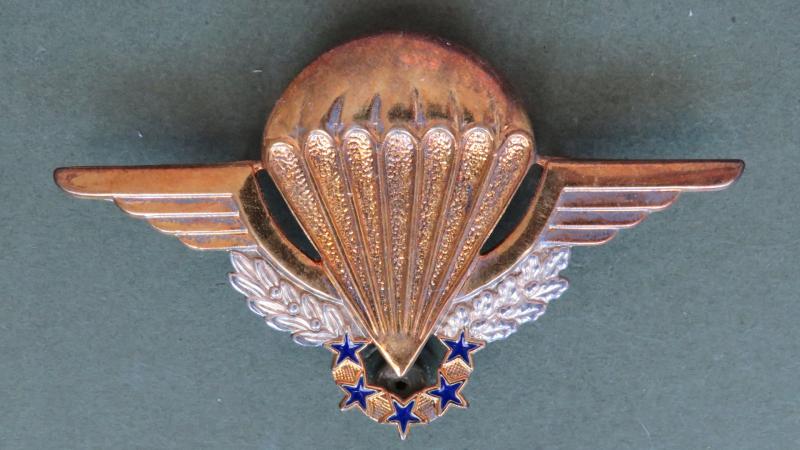 France H.A.L.O. Parachute Wings