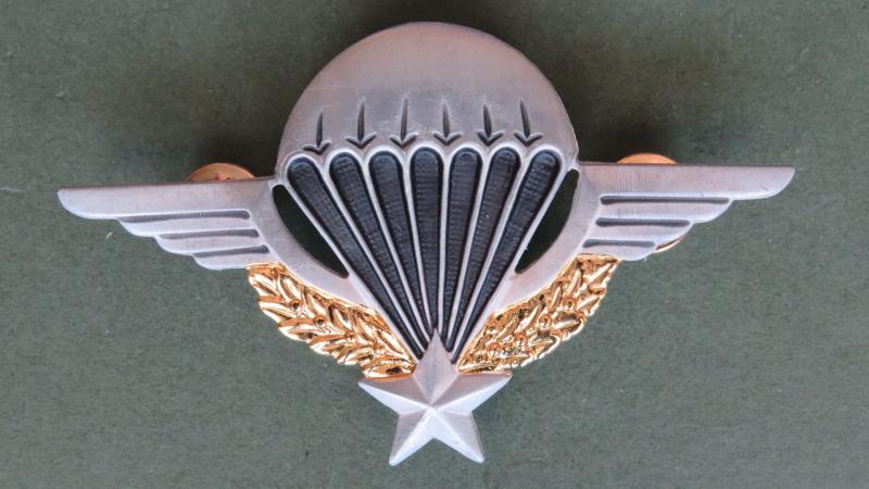 France Basic Parachute Wings