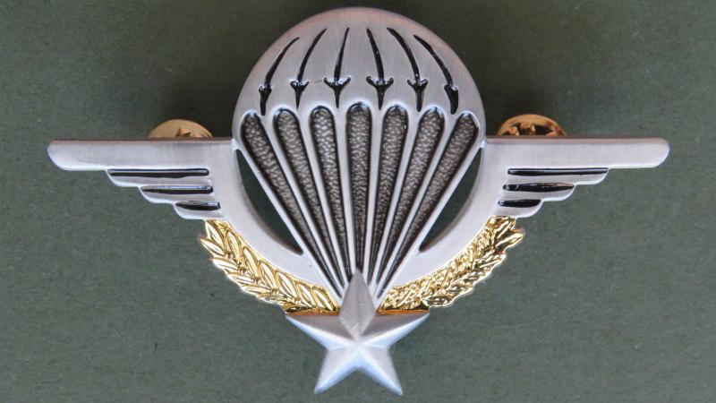 France Basic Parachute Wings