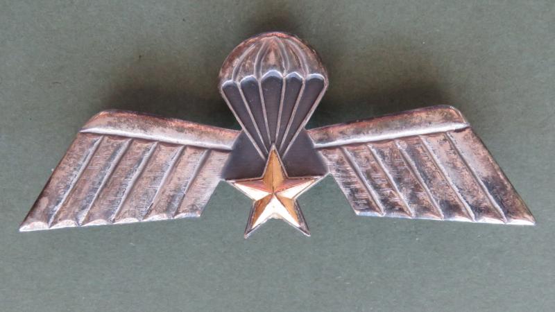 Netherlands Army 104 Company Parachute Wings
