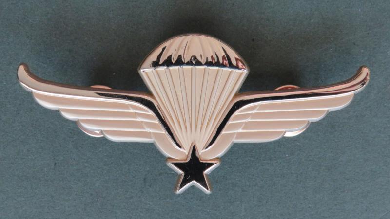Norway Post 2007 Parachute Wings (Made in United States)