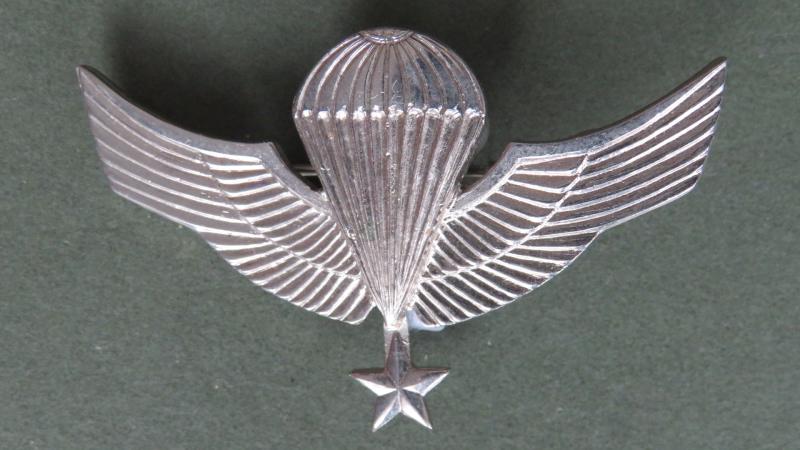 Chile Army Senior Parachute Wing
