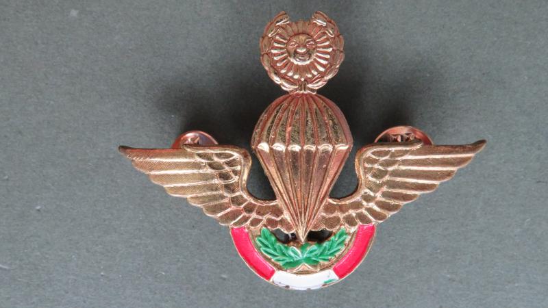 Peru Master Parachute Wings