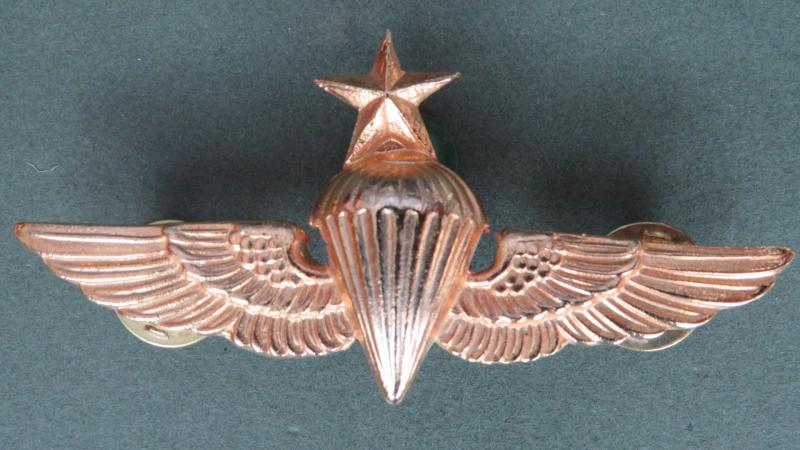 Honduras Army Senior Parachute Wings