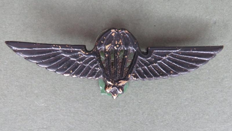 Nepal Army Parachute Wings