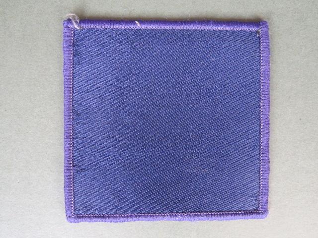 British Army 9 Parachute Squadron Royal Engineers Drop Zone Patch