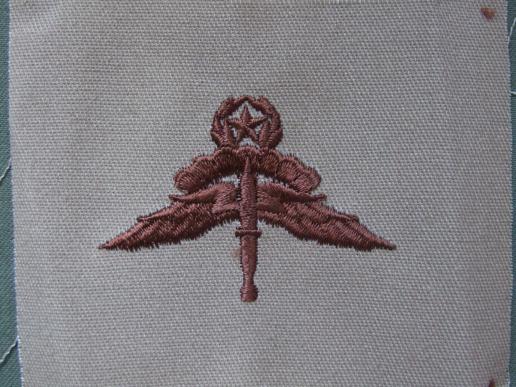USA Army / Air Force Master Free Fall Parachute Wings