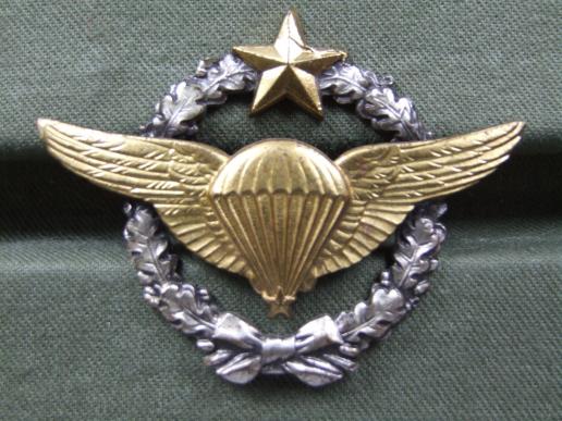 France Air Force Parachute Wings
