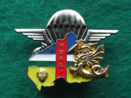 France 8e R.P.I.M.a (Regiment Parachutiste d' Infanterie de Marine) BOALI 2012 Pocket Crest