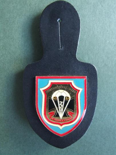 Germany 260th Airborne Medical Company Pocket Crest