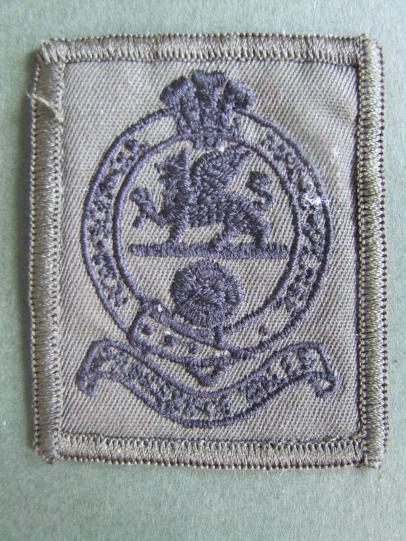 British Army The Princess of Wales's Royal Regiment (Queen's & Royal Hampshires) Beret Badge