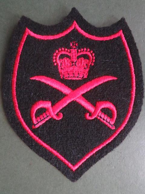 British Army Physical Training Instructor Tracksuit Badge