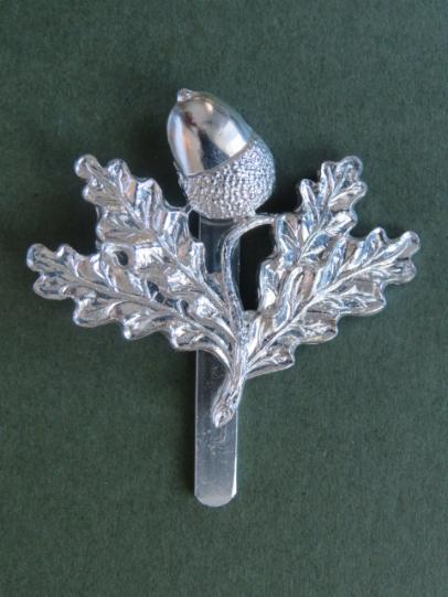 British Army The South Nottinghamshire Hussars Cap Badge
