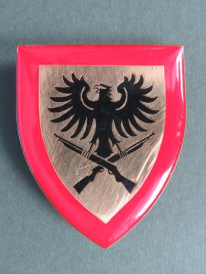 South West Africa 913 Battalion Arm Flash