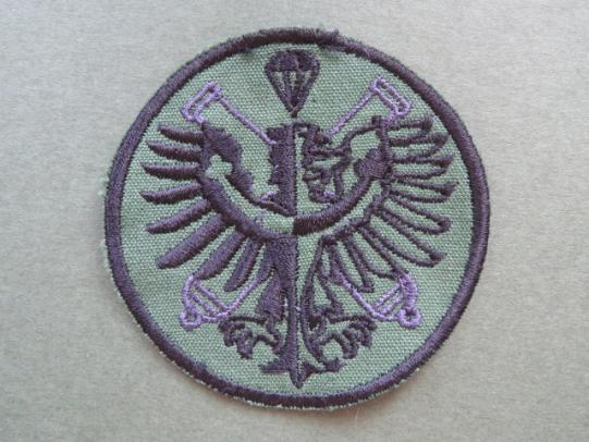 Czech Republic 4th Rapid Deployment Brigade 46th Artillery Battalion 3rd Battery Shoulder Patch