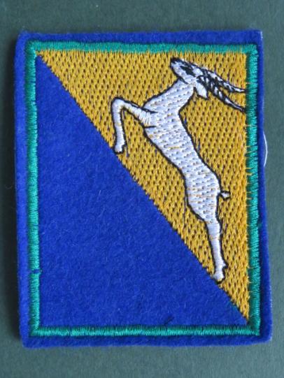 Jordan Army Infantry Unit? Arm Patch