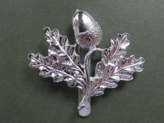 British Army The South Nottinghamshire Hussars Cap Badge