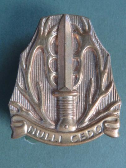 Netherland Army 