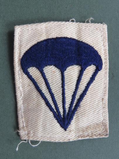 USA Navy Parachute Man Badge