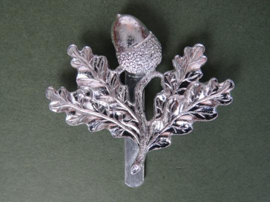 British Army The South Nottinghamshire Hussars Cap Badge