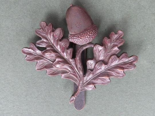 British Army The South Nottinghamshire Hussars Cap Badge