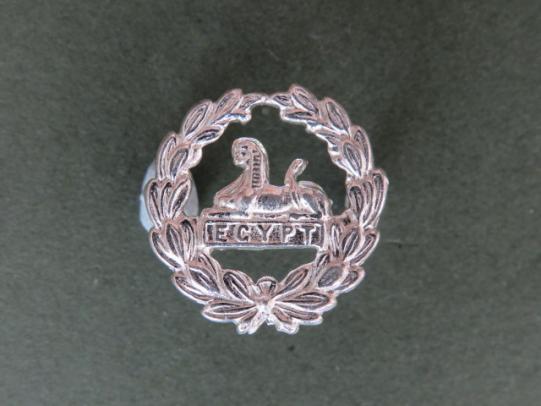 British Army The Rifles Back Badge