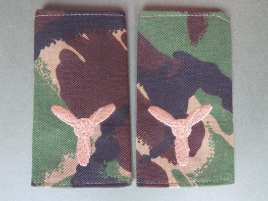 Royal Air Force Regiment Senior Aircraftman Rank Slides