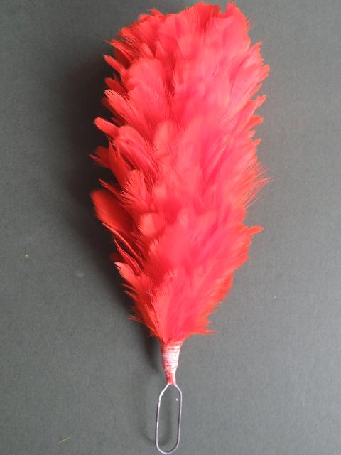 Unknown Headdress Hackle