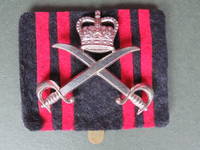 British Army, Post 1953 Army Physical Training Corps Beret Badge and Backing