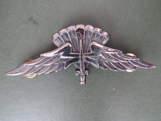 USA Military Freefall Basic Parachute Wings with Combat Jump Star