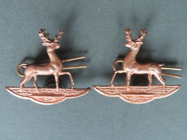 British Army The Bedfordshire & Hertfordshire Regiment Collar Badges