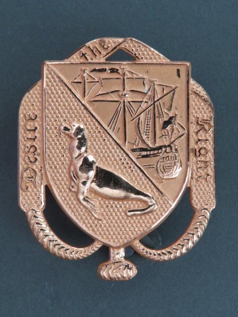 Falkland Islands Defence Force Cap Badge