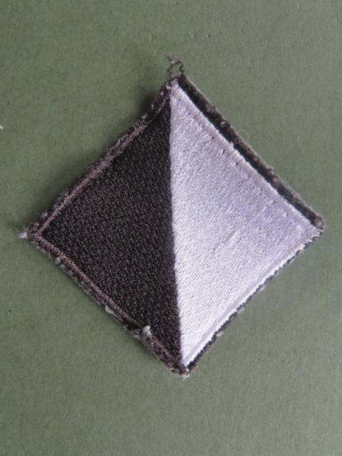 British Army The Light Dragoons TRF