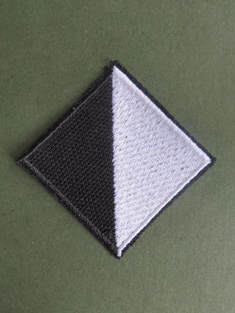 British Army The Light Dragoons TRF