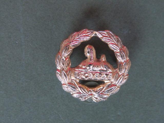 British Army Gloucestershire Regiment Back Badge