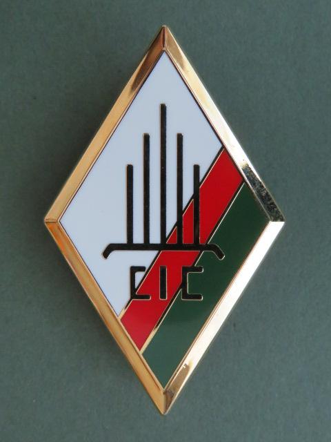 France Foreign Legion 2nd Foreign Infantry Regiment, 