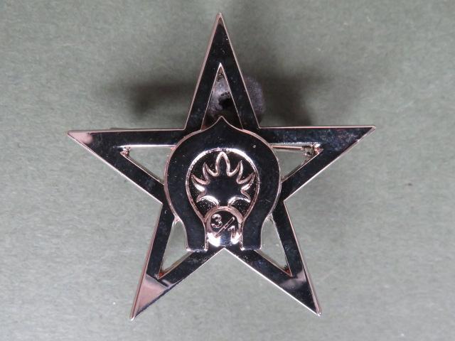 France Foreign Legion 1er Cavalry Regiment, 3 Squadron Pocket Crest
