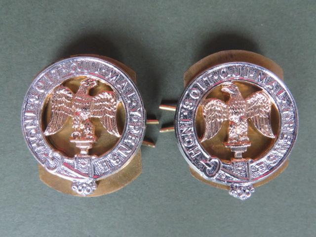 British Army The Anglian Regiment, 3rd Battalion Collar Badges
