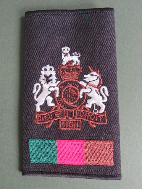 British Army Royal Tank Regiment Warrant Officer Class 1 (WO1) Rank Slide